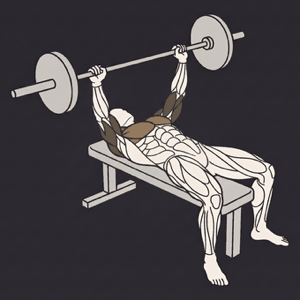Bench press, lockout