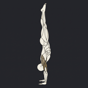Handstand