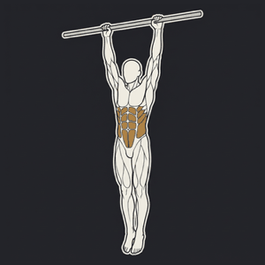 Hanging leg raise, hang