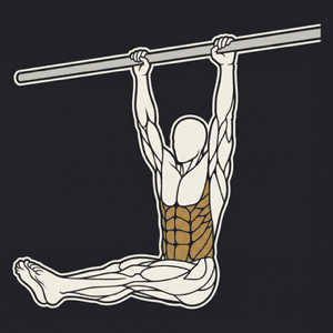 Hanging leg raise, top