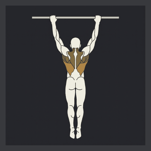 Pull-up, dead hang